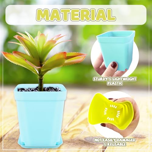 OJYUDD 24 Pack Multi Color Plastic Plant Pot,Colorful Plastic Square Pots,Mini Plastic Square Planters for Indoor Outdoor Plants Flowers,Garden,Office,Home Decor,with Pallet - size: 24 Pack Multicolor