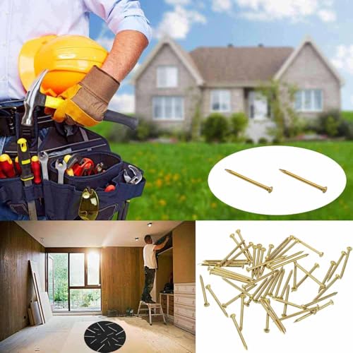 Tiny Wooden Nails for DIY Craft Projects, Antique Drawer Repairing, Mini Boxes Decorative Accessories[Set of 100pcs] (23mm/0.9inch, Gold) - color: Gold, style: 23mm