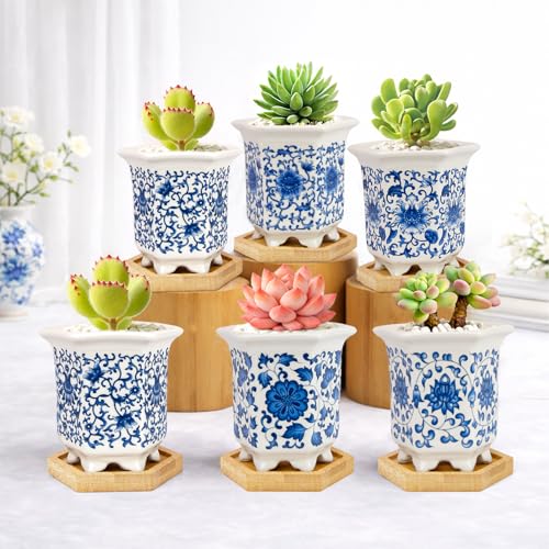 Succulent Pots, Small Ceramic Pots for Plants Set of 6, 3.3" Succulent Planters with Drainage & Saucers, Mini Plant Pots for Indoor Plants, Cactus, Small Flower Pots for Home Office - color: Blue-porcelain-hexagon-tall