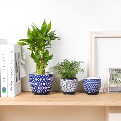Selamica Ceramic Succulent Pots, 3.5 Inch Small Plant Pots for Indoor Plants Cactus Herbs, Succulent Planters with Drainage Holes & Saucers, Home Decor, Set of 6, Vintage Blue - color: Vintage Blue, size: 3.5 Inch, Set of 6