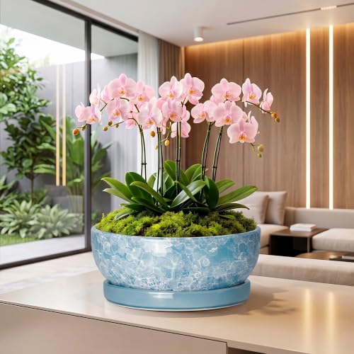 Succulent Planter, 13 Inch Ceramic Bonsai Pots, Droplet Blue - color: Droplet Blue, size: 13 Inch