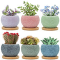 3 inch Ceramic pots for Plants, Small Succulent Pots Set with Drainage, 6 Pack Flower Pot for Indoor Plant, Planters for Little or mini Cactus 2 inches Plants
