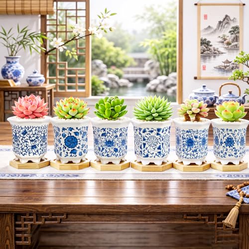 Succulent Pots, Small Ceramic Pots for Plants Set of 6, 3.3" Succulent Planters with Drainage & Saucers, Mini Plant Pots for Indoor Plants, Cactus, Small Flower Pots for Home Office - color: Blue-porcelain-hexagon-tall
