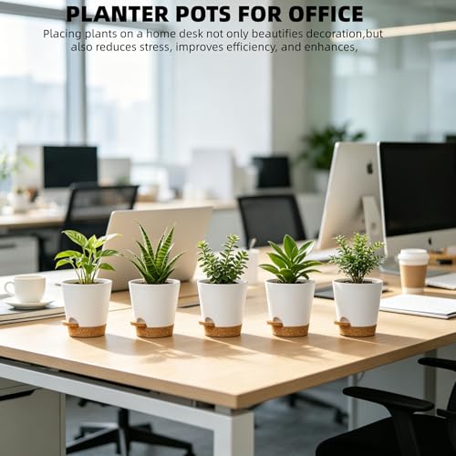 12 Pack 4 Inch African Violet Pots Self Watering, Self-Watering Planters with Drainage Holes & Reservoir, White Brown Plastic Pots for Indoor Outdoor Plants, Succulents & Flowers - color: White Brown, size: 4 inch 12pcs