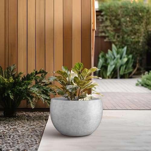 Kante Small Round Bowl Pale Gray Concrete Planter 11.8" Dia, Outdoor - color: Natural Concrete, size: 11.8" d