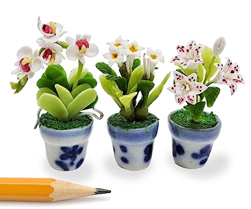 WitnyStore Tiny 1½" High 3 Pieces Set Lily Orchid Plumeria Hand Made Artificial Flowers Realistic Colorful Miniature Modelling Clay Flower Pots Brilliant Variety of House Plant Species Home Decoration
