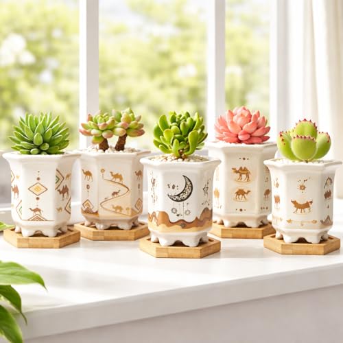 3.3 Inch Small Succulent Pots with Drainage and Bamboo Tray Set of 6 - color: Mid-e-hexagon-tall