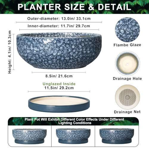 Bonsai Pots 13 Inch, Ceramic Succulent Planter with Tray, Scale Blue - color: Scale Blue, size: 13 Inch