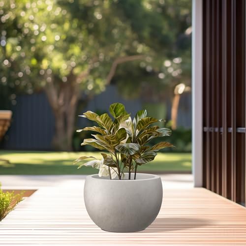 Kante 7.9" Tall Round Bowl Concrete Planter, Weathered Finish for Home - color: Weathered Concrete, size: 11.8" d