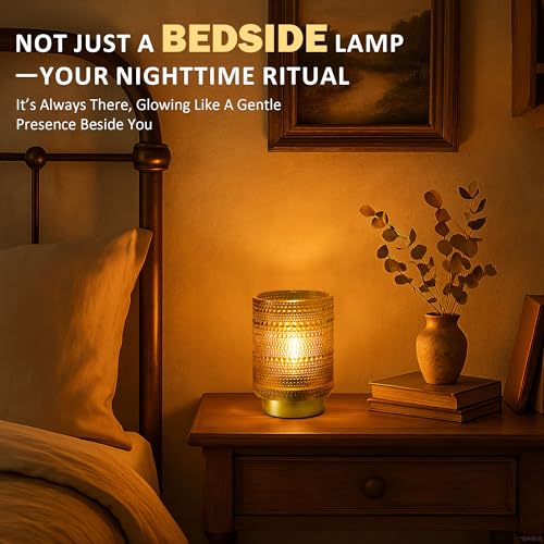 2 Pack Battery Operated Decorative Aesthetic Lamp with Timer for Bedside,Small Cordless Table Lamps with LED Warm Bulb for Bookshelf/Entryway/Nightstand/Dorm/Coffee Table/Office Cubicle Decor(Golden) - color: Amber, size: 2 pack