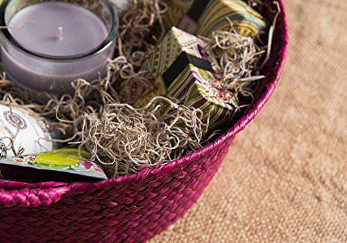 SuperMoss (26914) Spanish Moss Preserved, Natural, 8oz (200 cubic inch)
