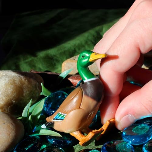 Safari Ltd. Mallard Duck Figurine - Hand-Painted, Realistic 3" Model Figure - Fun Educational Toy for Boys, Girls & Kids Ages 3+