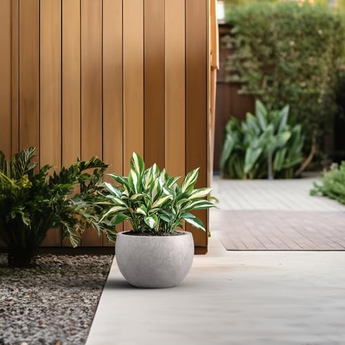 Kante Large Round Bowl CON Gray Concrete Planter 19.9" Dia, Outdoor - color: Light Gray, size: 19.9" d