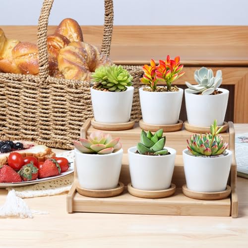 T4U Small Succulent Pots 12 Pack, Mini Flower Planters with Drainage White - color: Round