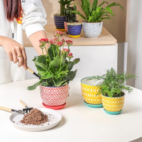 Selamica Ceramic Plant Pots, 4.6 Inch Flower Pots for Indoor Plants, Succulent Pots with Drainage Hole & Saucer, Succulent Planters for Succulent Cactus, Home Decor, Set of 4, Assorted Colors - color: Assorted Colors, size: 4.6 Inch, Set of 4
