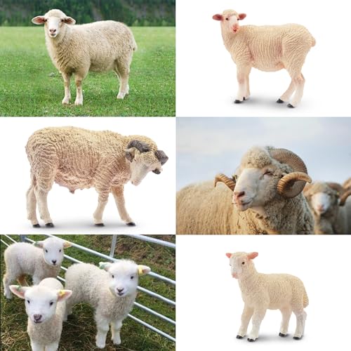 Toymany 8PCS Merino Sheep Figurines Realistic Farm Animal Sheep Toys- Plastic Sheep Figures Birthday Christmas Toy Gift for Kids Toddlers - style: 8PCS Sheep