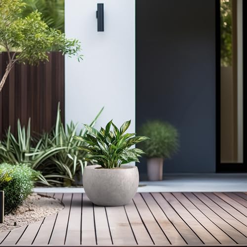 Kante Large Round Bowl CON Gray Concrete Planter 19.9" Dia, Outdoor - color: Light Gray, size: 19.9" d