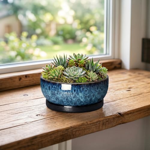 Succulent Pots, 6 Inch Ceramic Bonsai Pots with Saucer, Blue - color: Blue, size: 6 Inch
