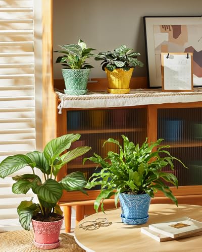 Metahom 5.8 Inch Ceramic Plant Pots, Flower Pots Set of 4, Assorted Colors - color: Assorted Colors, size: 5.8 Inch