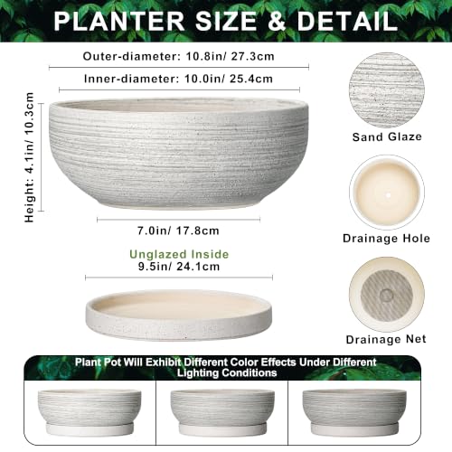 10 Inch Ceramic Bonsai Tree Pots with Saucer, Brushed Grey - color: Brushed Grey, size: 10 Inch