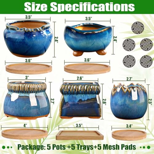 MUZHI 5PACK Glazed Bonsai Planter 3" Small Succulent Pots, RoundYixing Zisha Decorative Mame Bonsai Training Pot or Square Small Flower Cactus Starter Growing Planters Blue (5pcs Pots with Trays) - color: 5pcs Pots With Trays