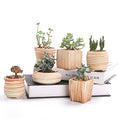 2.5-3" Succulent Pots, Ceramic Wood Pattern Cactus Planters Set, 6 Pack