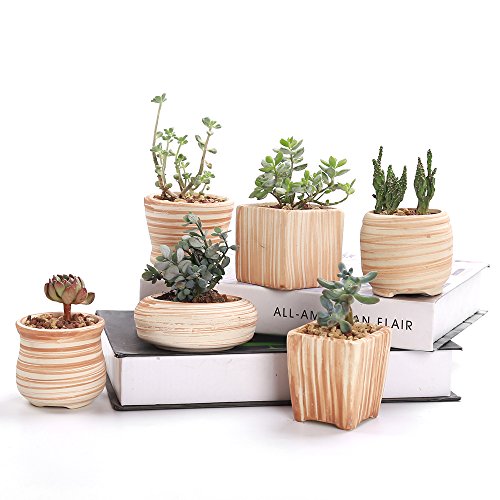 2.5-3" Succulent Pots, Ceramic Wood Pattern Cactus Planters Set, 6 Pack