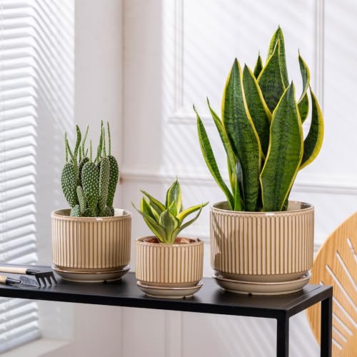 SURE YUESI Ceramic Plant Pots Set of 3, Indoor Outdoor Planters with Drainage Hole and Saucer, Ceramic Flower Pots for Indoor Plants, 4.3+5.5+6.8 Inch, Home, Garden, Patio and Office, Glossy Beige - color: Beige