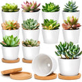 T4U Small Succulent Pots 12 Pack, Mini Flower Planters with Drainage White - color: Round