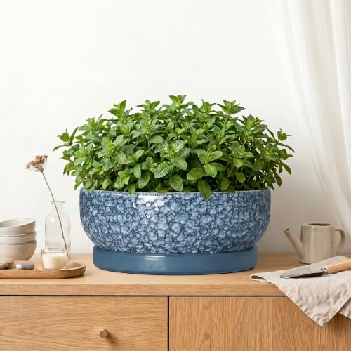 Bonsai Pots 13 Inch, Ceramic Succulent Planter with Tray, Scale Blue - color: Scale Blue, size: 13 Inch