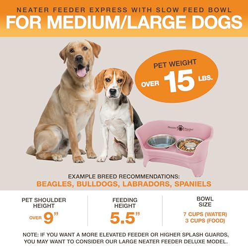 Neater Feeder - Express Model w/Slow Feed Bowl - Mess-Proof Dog Bowls (M/L, Pink) Made in USA – Elevated, No Spill, Non-Tip, Non-Slip, Raised Stainless Steel Food/Water Pet Bowls Aid Digestion - color: Pink, size: Medium to Large w/ Metal Slow Feed Bowl