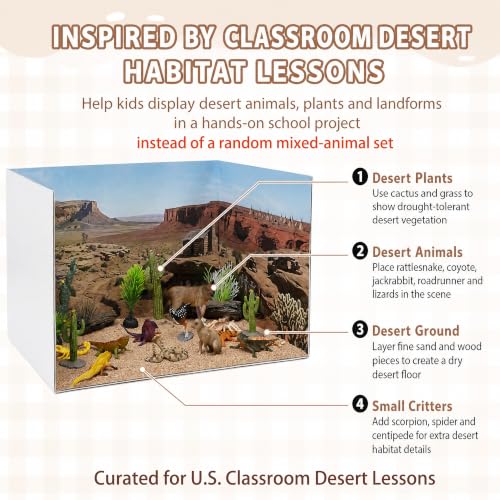 DZrudun Desert Diorama Kit, Diorama Box and 28Pcs Desert Diorama Supplies - color: Desert Diorama Kit