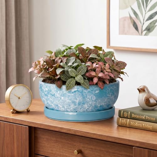 Succulent Planter 8 Inch, Ceramic Bonsai Planter, Droplet Blue - color: Droplet Blue, size: 8 Inch