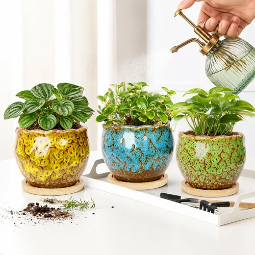 ARTKETTY Succulent Pots, 4 Pack Small Plant Pots with Drainage Tray - color: 4'' Colorful 2