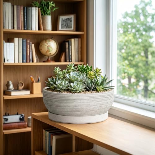 13 Inch Ceramic Bonsai Pots with Saucer, Brushed Grey - color: Brushed Grey, size: 13 Inch