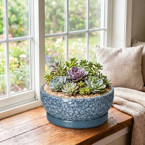10 Inch Ceramic Bonsai Pots with Saucer, Scale Blue - color: Scale Blue, size: 10 Inch