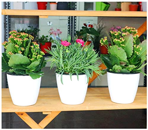 3.5“ Self Watering Planter White Flower Pot, 3 Pcs Small Planter Pot, Mini Plant Pot, for All Plants, Herbs, African Violets, Succulents, Flowers Or Start Plants, White, 3 inch - size: 3.5 Inch
