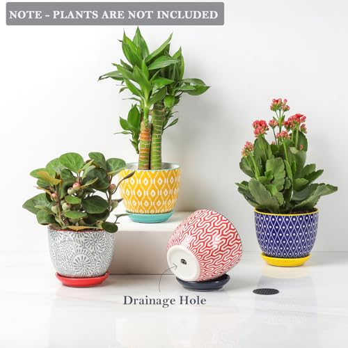 Selamica Ceramic Succulent Pots with Drainage Holes, Small Flower Pots 3.5 Inch Plant Pots for Indoor Plants with Saucers, Cactus Succulent, Home Decor, Set of 4, Assorted Colors - color: Assorted Colors, size: 3.5 Inch, Set of 4