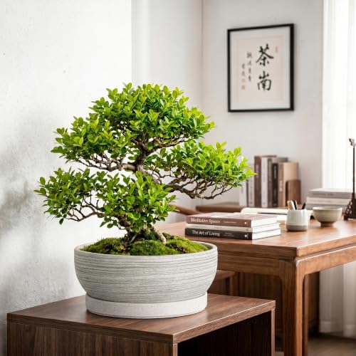 13 Inch Ceramic Bonsai Pots with Saucer, Brushed Grey - color: Brushed Grey, size: 13 Inch