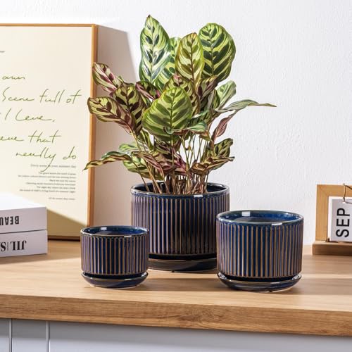 SURE YUESI Ceramic Plant Pots Set of 3, Indoor Outdoor Planters with Drainage Hole and Saucer, Ceramic Flower Pots for Indoor Plants, 4.3+5.5+6.8 Inch, Home, Garden, Patio and Office, Glossy Blue - color: Navy Blue