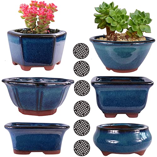 MUZHI 6PACK Glazed Bonsai Pot Planter 3" 4” Small Succulent Pots, Yixing Zisha Decorative Mame Bonsai Training Pot or Small Flower Cactus Starter Growing Planters Containers Blue - color: 6pcs Pots