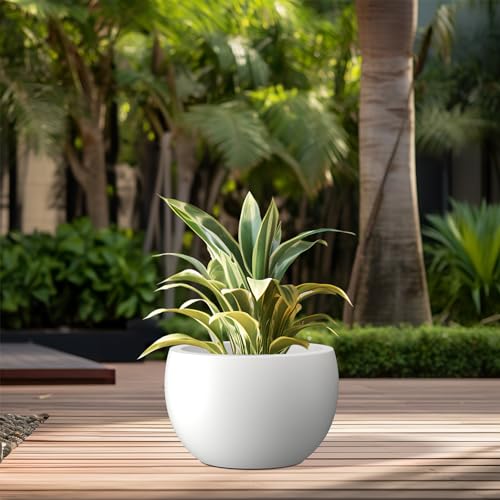 Kante Small Round Bowl White Concrete Planter 11.8" Dia, Outdoor - color: Pure White, size: 11.8" d
