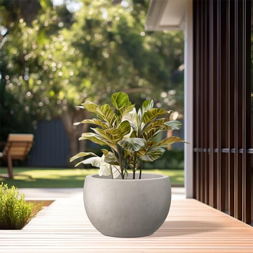 Kante Accent Round Bowl Weathered Concrete Planter 14.8" Dia, Outdoor - color: Weathered Concrete, size: 15.7" d