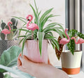 Mini Flamingos Figurines with Stakes - Set of 4 Small Flamingos Garden Gifts for Women Resin for Flower/Plant Pot Decorations - Miniature Fairy Garden