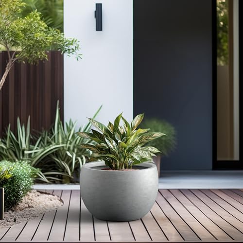 Kante Large Round Bowl Pale Gray Concrete Planter 20" Dia, Outdoor - color: Natural Concrete, size: 19.9" d