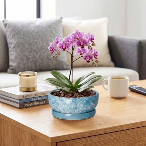 Succulent Planter 8 Inch, Ceramic Bonsai Planter, Droplet Blue - color: Droplet Blue, size: 8 Inch
