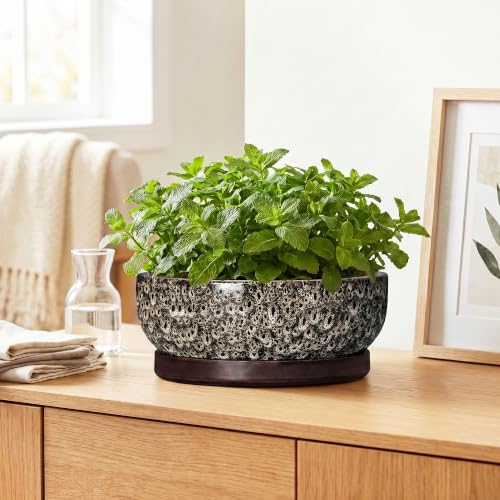 Succulent Pots, 10 Inch Ceramic Bonsai Tree Pots, White Leopard - color: White Leopard, size: 10 Inch