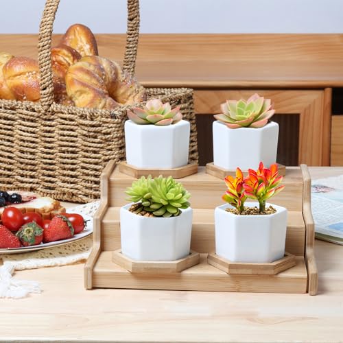 T4U Small Succulent Pots 12 Pack, Mini Flower Planters with Drainage White - color: Hexagon