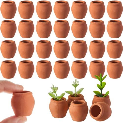 40 Pcs Mini Terracotta Clay Pots for Succulent Cactus Crafts