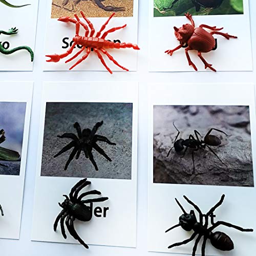 MEROCO Montessori Materials Insects Bugs Matching Game Kids Preschool 3-6 - style: Insect-Animal